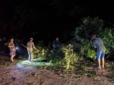 台风过境！阳西这一夜，他们彻夜不眠