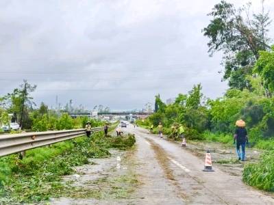 阳江滨海新区（阳江高新区）高效推进灾后清障工作