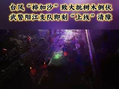 台风“桦加沙”致大批树木倒伏，武警阳江支队即刻“上线”清障
