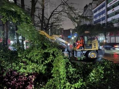 图集｜阳江：台风过境，温暖上线