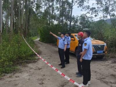 政企联动战 “桦加沙” ，肇庆合力清除电网安全隐患