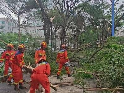 台风过境，江城温暖的一幕幕筑牢“安全堤坝”！