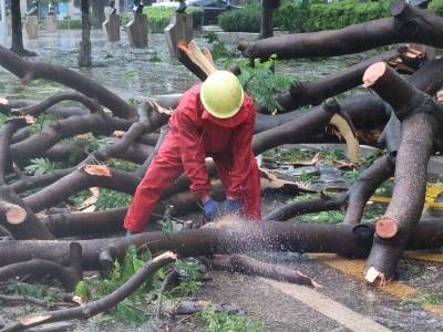 “桦加沙”渐远，江门这9个暖心瞬间值得被铭记