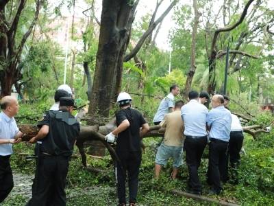 风雨过后，全力以“复”，工行阳江分行迅速开展台风“桦加沙”灾后恢复工作