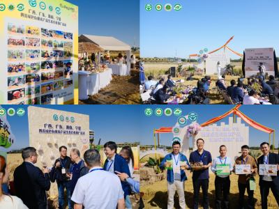 四省联动庆丰收 爱上丰收的田野