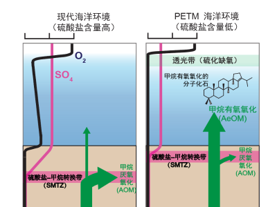 地球5600万年前的“高温实验”，给当下气候问题敲响警钟​