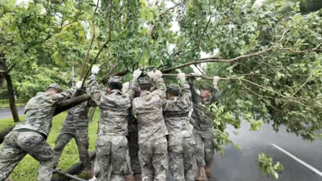 闻“风”而动，阳江武警官兵全力清理海陵岛台风路障｜南方+视频