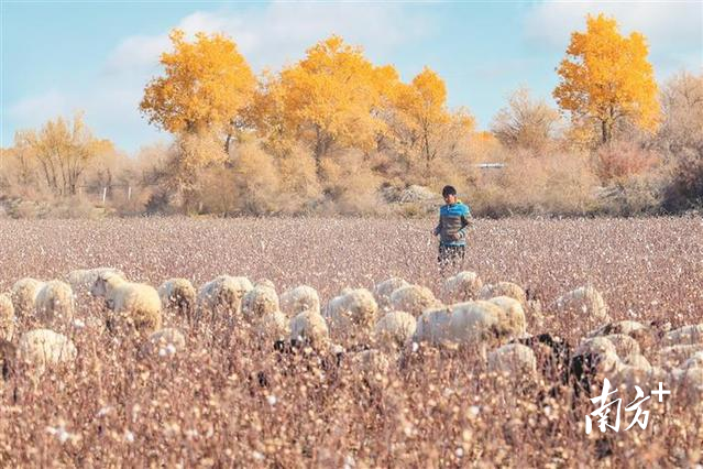 李柏成 杨倩 摄