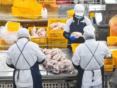 “百亿”筑千亿｜一文速览《南方日报·清远观察》第2157期