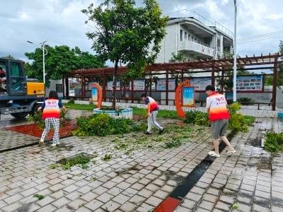 闻“风”而动显担当！阳江共青团组织超4000人次青年志愿者开展救灾复产工作