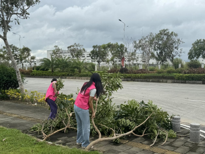 风雨中彰显巾帼担当！阳西县妇联积极抗击台风“桦加沙”