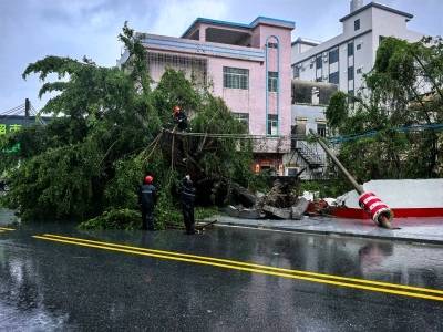 泥水裹身、昼夜接力！新洲镇党员干部全力以“复”