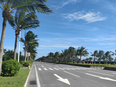 茂名滨海新区多部门联动，加速推进台风灾后恢复重建工作