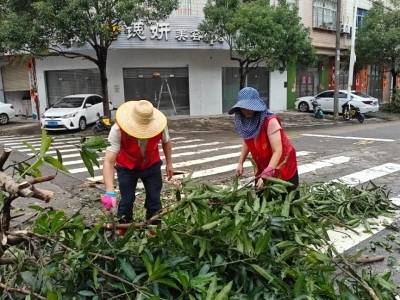阳东区各级党组织和广大党员积极参与救灾复产工作