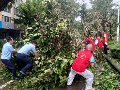 已抢通512公里公路！阳江交通党员干部助力城市抗灾复产