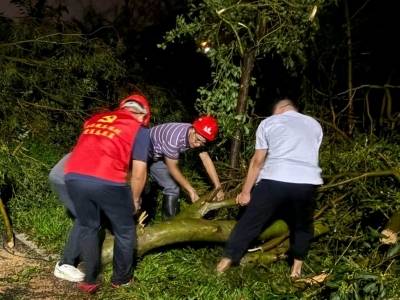 “桦加沙”过境后，阳西溪头镇全力以“复”