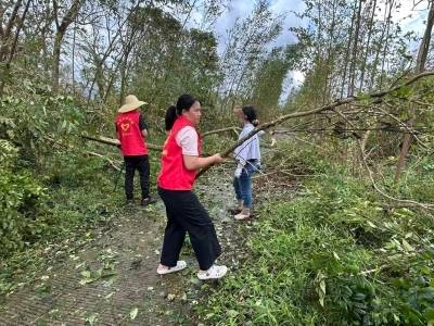 阳东新洲镇巾帼志愿者，风雨中的“她”力量