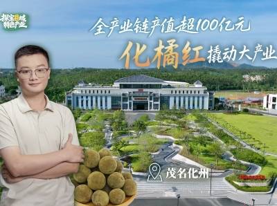 入口回甘，感受延续千年的化橘红味道｜粤来粤好百千万