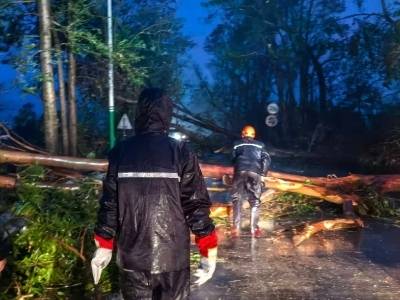 闻“风”而动！阳东区人武部奋战防御台风“桦加沙”一线