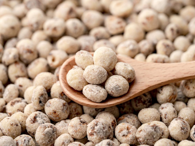 三师油莎豆：沙漠里的INFP，用根系写就理想主义 | 疆品性格图鉴