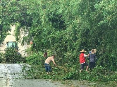 台风过后清障忙，阳西人大代表率救援队驰援一线