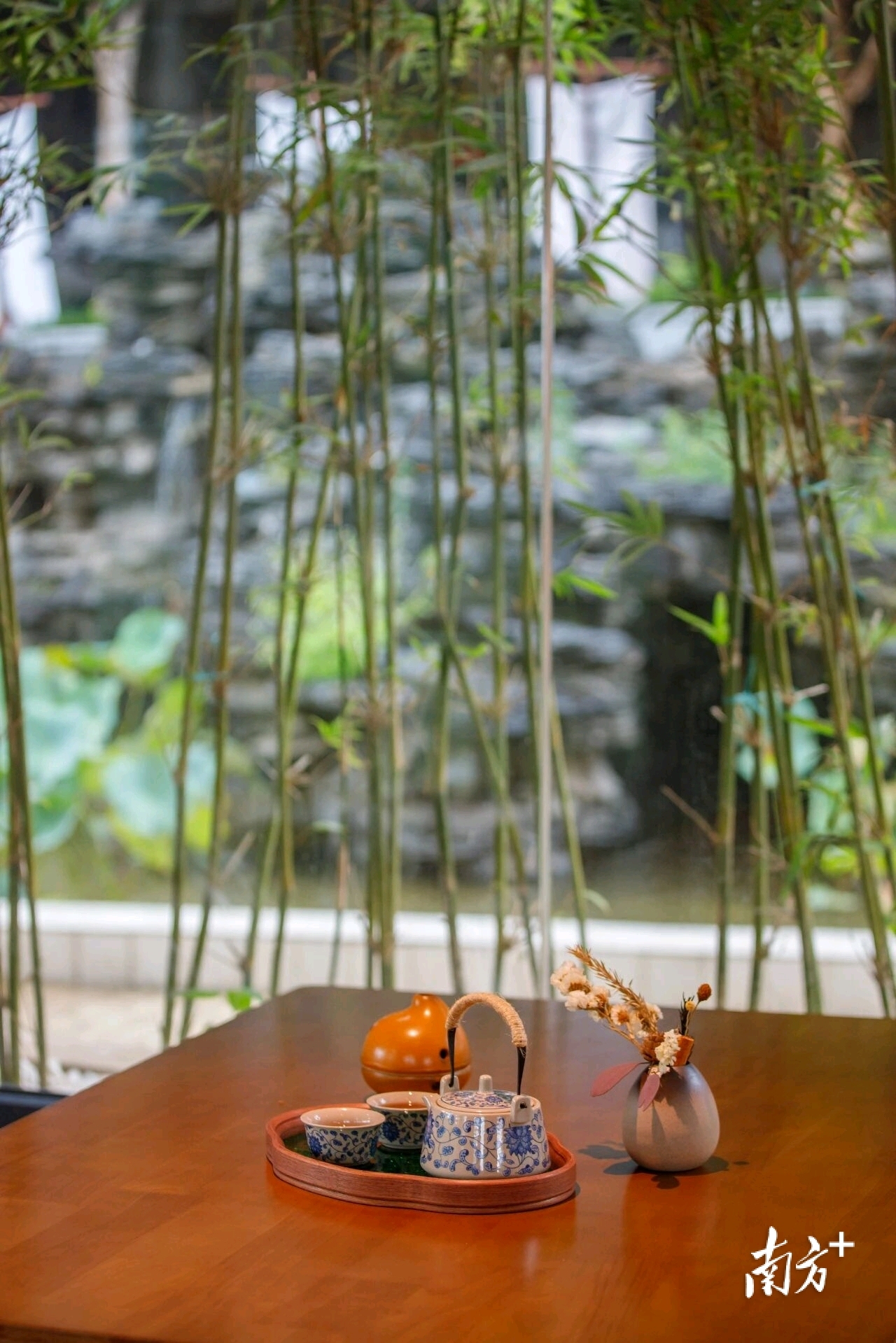 无  通讯员 莞城宣 供图