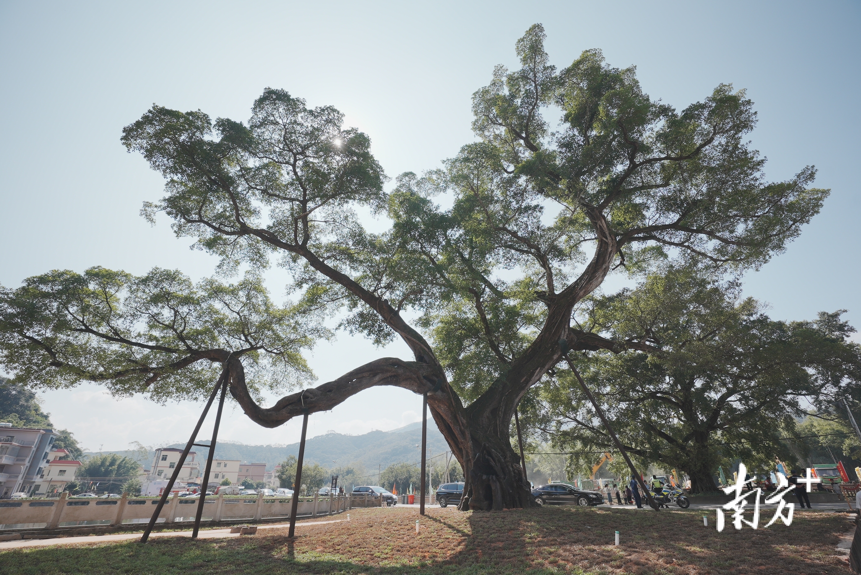     南方+ 王昌辉 拍摄