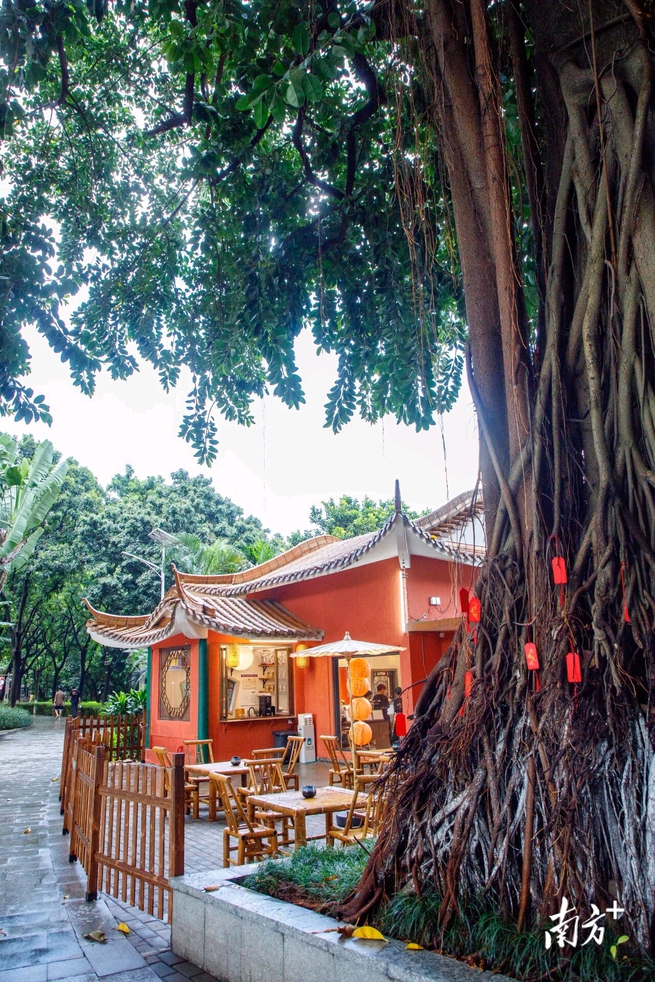 无  通讯员 莞城宣 供图