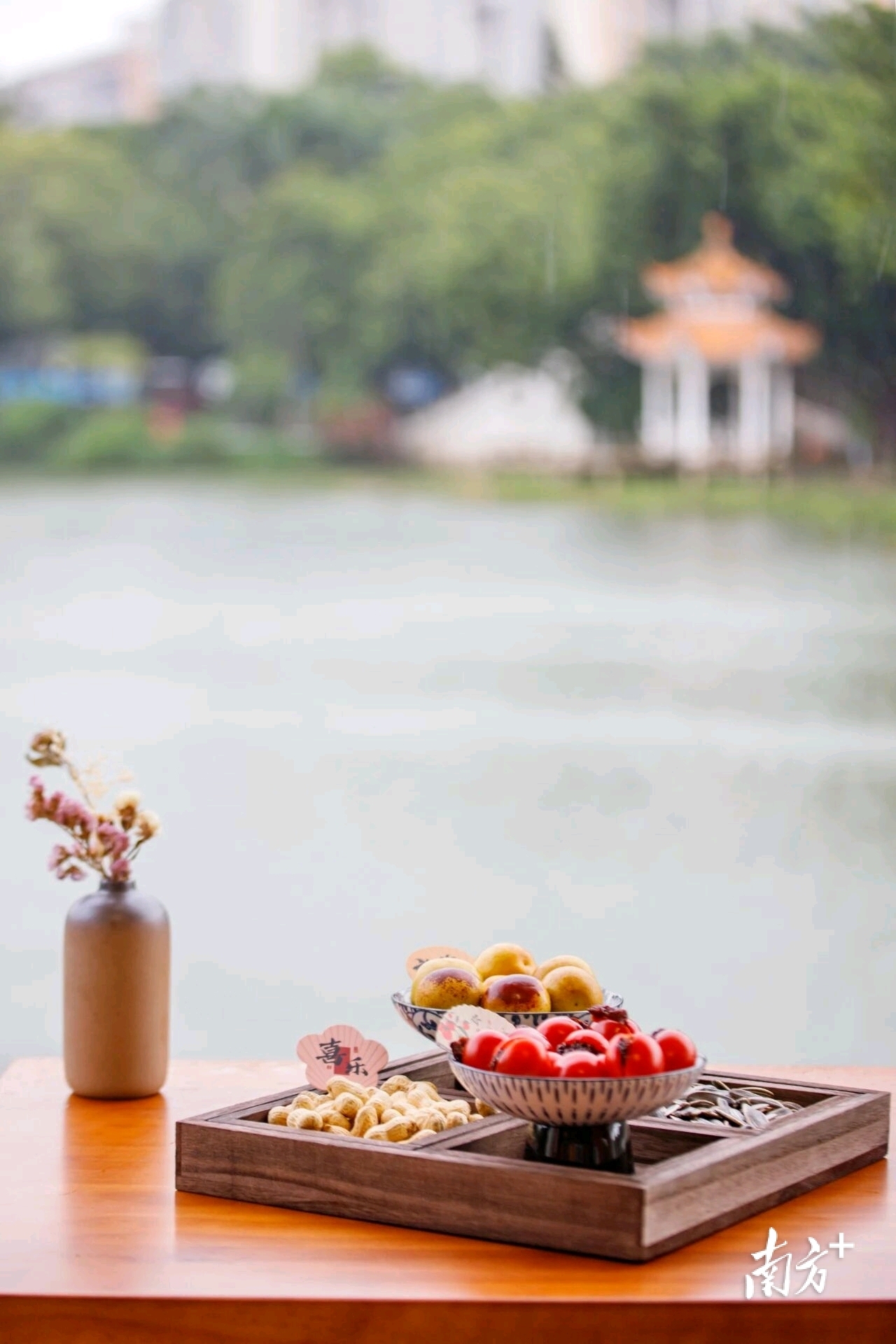 无  通讯员 莞城宣 供图