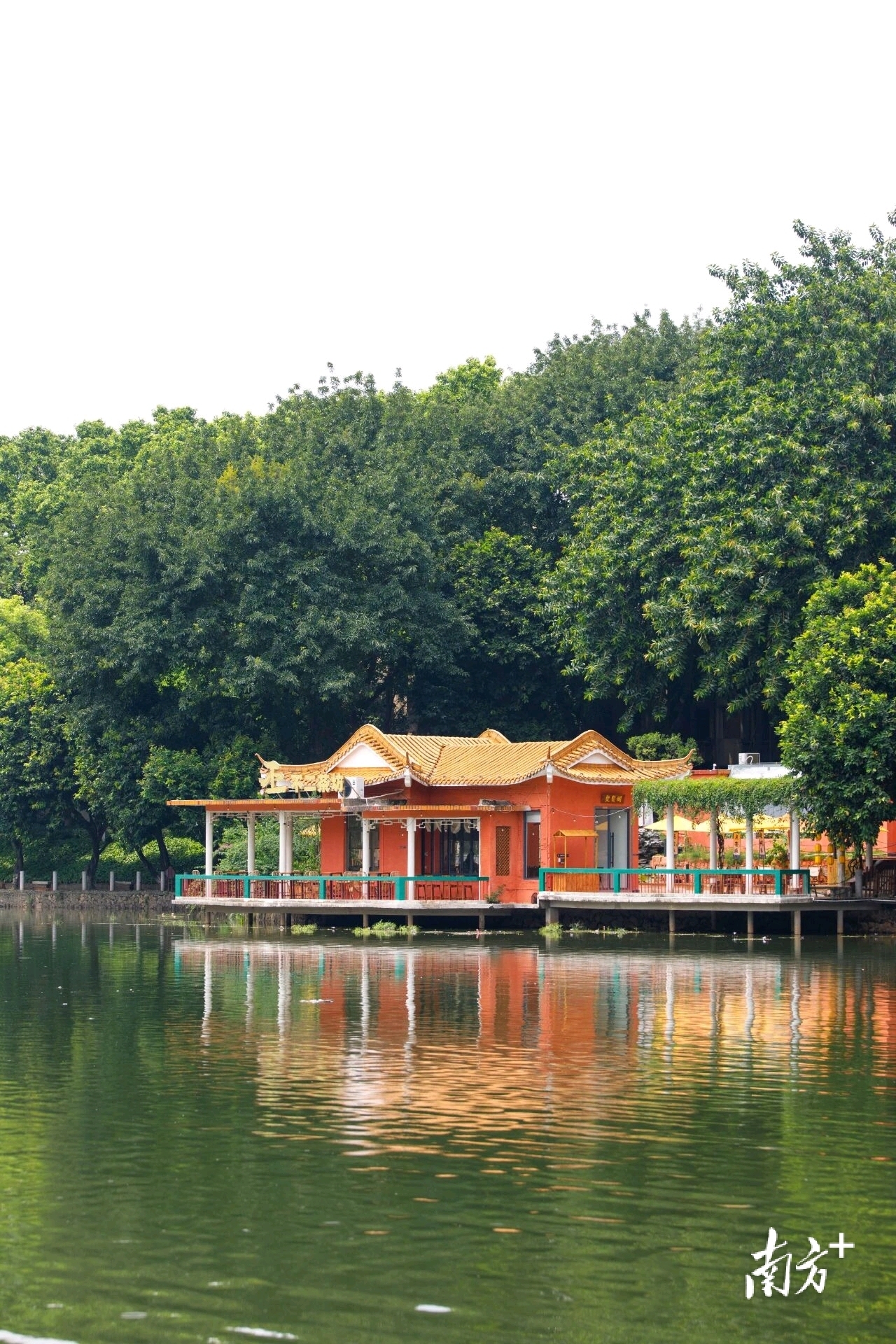 无  通讯员 莞城宣 供图