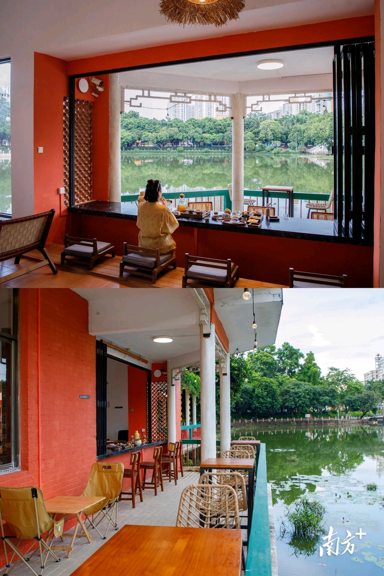 无  通讯员 莞城宣 供图