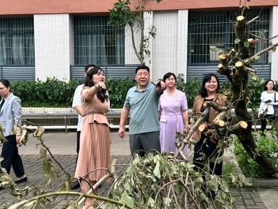 “同心防风”守护“漠阳前行”！阳江统一战线扛起台风防御与救灾复产重任