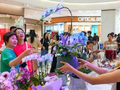 越秀打造“花城”展示窗口，“花仙下凡”闪耀北京路