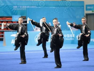 广东队2金2银！十五运会群众展演太极拳项目决赛收官