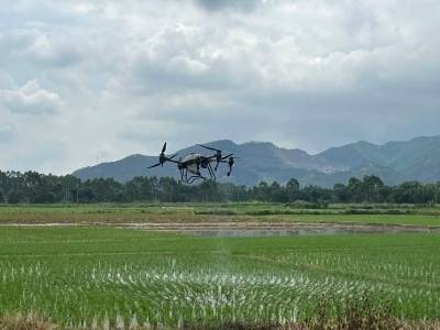 “肇庆大地”平台上线，培育发展农业新质生产力