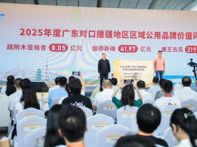 重磅！疏附木亚格杏品牌价值突破8亿元