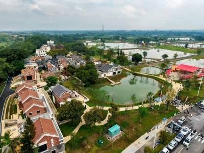 七星评｜典型镇村精品项目运营，焕发肇庆乡村新气象