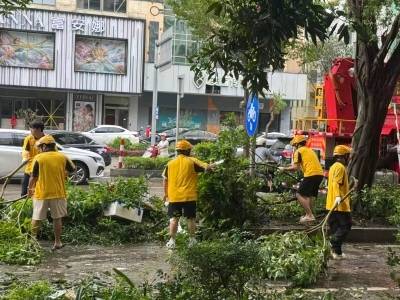 阳江新兴领域党组织风雨同舟战“桦加沙”