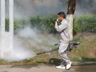 过去一周，广东新增报告3153例基孔肯雅热本地个案