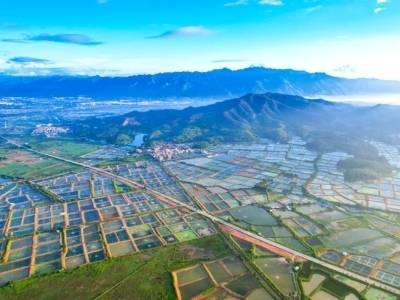 平台赋能，肇庆8大特色农产品产业链“补链强链”