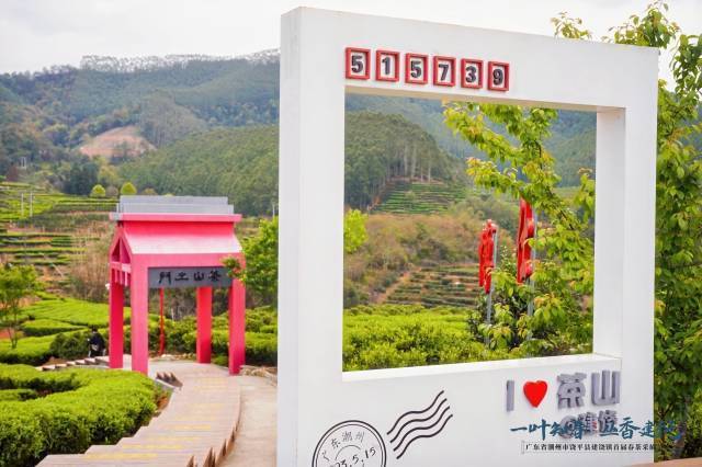 位于建饶镇麻寮村的茶山公园。驻饶平县建饶镇帮镇扶村工作队/供图