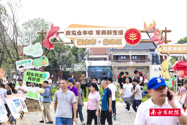 鼎湖丰收节现场图来啦！快来一键收图，把丰收福气沾个够！