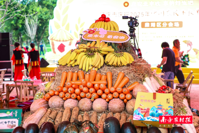 谷堆成山,稻香四溢,肇庆丰收节把“好货”堆成最朴实的幸福照。 谷堆成山,稻香四溢,肇庆丰收节把“好货”堆成最朴实的幸福照。