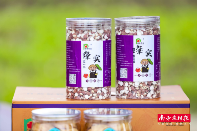 鼎湖特色肇实干果 鼎湖特色肇实干果