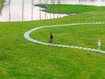 阅镇观｜破题“人文经济学”，伦教雕琢岭南“小家碧玉”