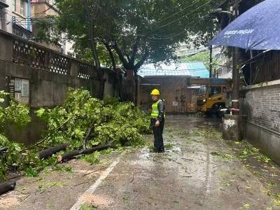 破解“小马拉大车”问题，海珠区南华西街这样为基层减负
