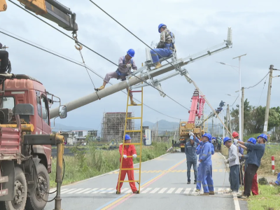 走读阳东 | 干群同心平风浪 人间烟火暖全城