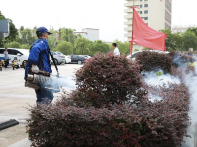全域大清扫！让茶山又“净”又“靓”