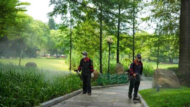 视频｜深圳新增22例基孔肯雅热病例