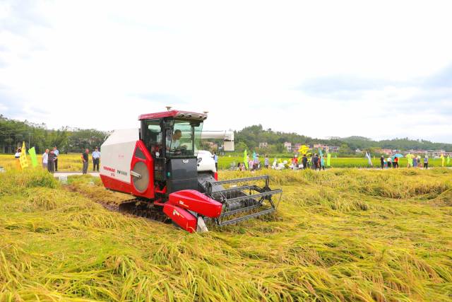 新丰分会场的农机操作展示。